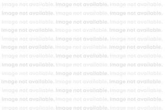 Image Not Available Widgety 18P 2026 version.jpg